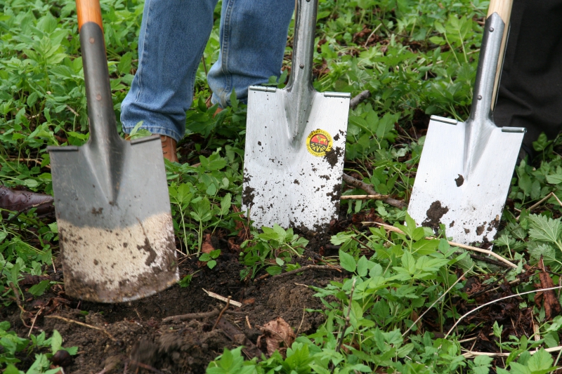 pepiniere-LA BRIGUE-min_work-lawn-flower-tool-green-backyard-1103633-pxhere.com